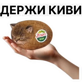 Стикербум_кошки — стикер для MAX