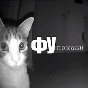 Стикербум_кошки — стикер для MAX