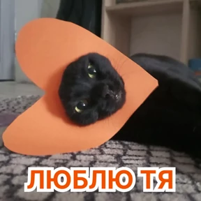 Стикербум_кошки — стикер для MAX