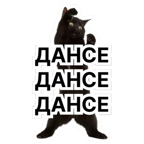 Стикербум_кошки — стикер для MAX