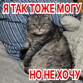 Стикербум_кошки — стикер для MAX