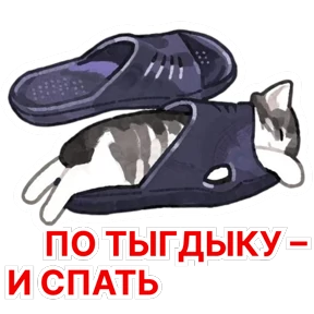 Стикербум_кошки — стикер для MAX