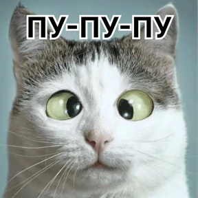 Стикербум_кошки — стикер для MAX