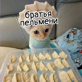Стикербум_кошки — стикер для MAX