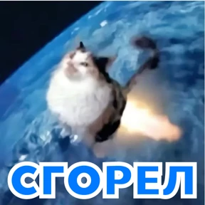 Стикербум_кошки — стикер для MAX