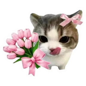 Стикер