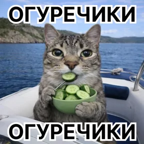 Стикер