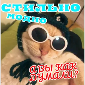 Стикербум_кошки — стикер для MAX