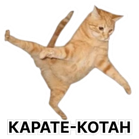Стикербум_кошки — стикер для MAX