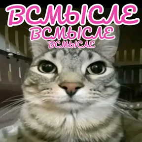Стикербум_кошки — стикер для MAX