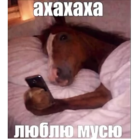 slvkml — стикер для MAX