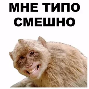 Прикол — стикер для MAX