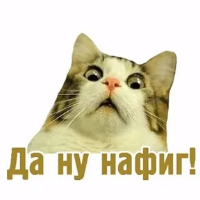 Прикол — стикер для MAX