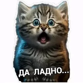 Прикол — стикер для MAX