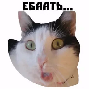 Прикол — стикер для MAX