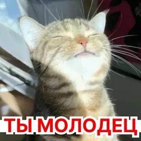Фото — 19 августа 2026 г. в 14:49:00.992
