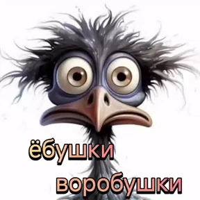 Смех — стикер для MAX