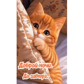 ВЕЧЕРА И НОЧИ — стикер для MAX
