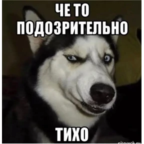 Лови удачу — стикер для MAX
