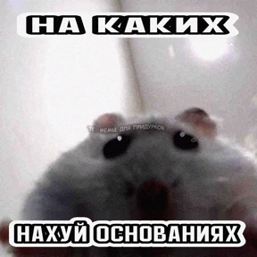 рабочие будни ТСП — стикер для MAX