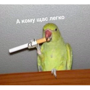 рабочие будни ТСП — стикер для MAX