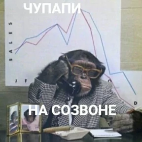 рабочие будни ТСП — стикер для MAX