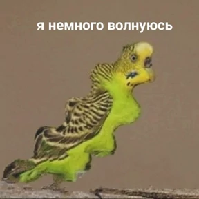 рабочие будни ТСП — стикер для MAX