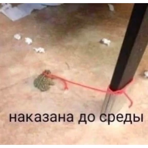 рабочие будни ТСП — стикер для MAX
