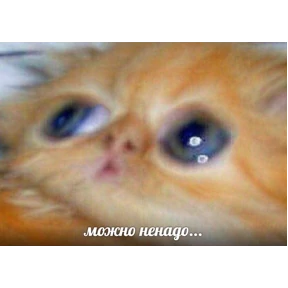 рабочие будни ТСП — стикер для MAX