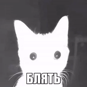 рабочие будни ТСП — стикер для MAX