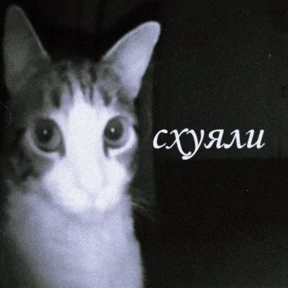 рабочие будни ТСП — стикер для MAX