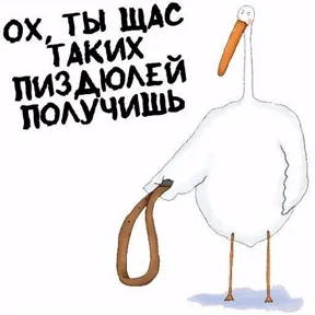 Новый 55 — стикер для MAX