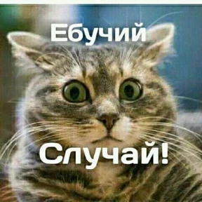 Новый 55 — стикер для MAX