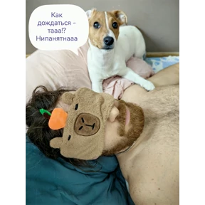 Жизнь прекрасна — стикер для MAX