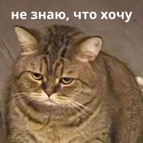 Memes 1 — стикер для MAX