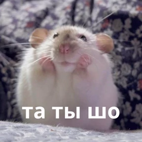 Memes 1 — стикер для MAX
