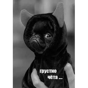 Новый 55 — стикер для MAX