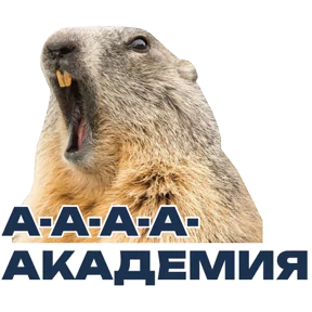 Фото — 17 августа 2026 г. в 17:07:01.038