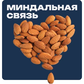 Стикер 4 из набора ПРЕЗИДЕНТСКАЯ АКАДЕМИЯ