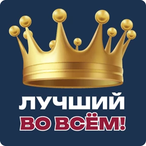 Стикер 6 из набора ПРЕЗИДЕНТСКАЯ АКАДЕМИЯ