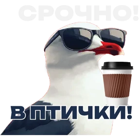 Стикер 11 из набора ПРЕЗИДЕНТСКАЯ АКАДЕМИЯ