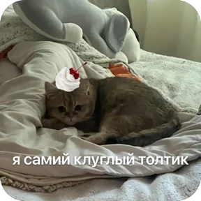 Булосьная полисия — стикер для MAX