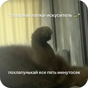 Булосьная полисия — стикер для MAX