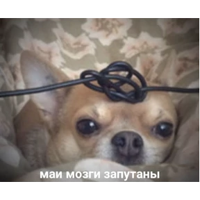 Мудик 2.0 — стикер для MAX