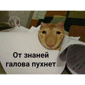 Мудик 2.0 — стикер для MAX