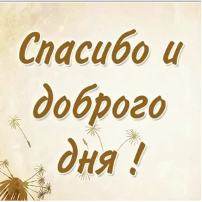 Зд — стикер для MAX