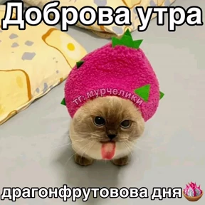 Доброва утра — стикер для MAX