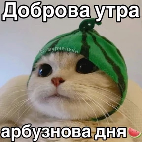 Доброва утра — стикер для MAX