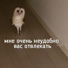 рабочие будни ТСП — стикер для MAX