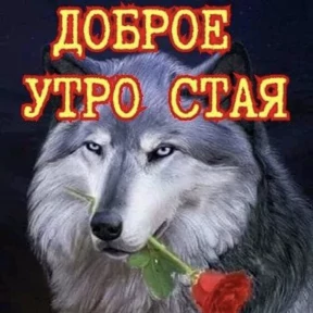 рабочие будни ТСП — стикер для MAX